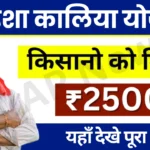 Kalia Yojana Online Apply